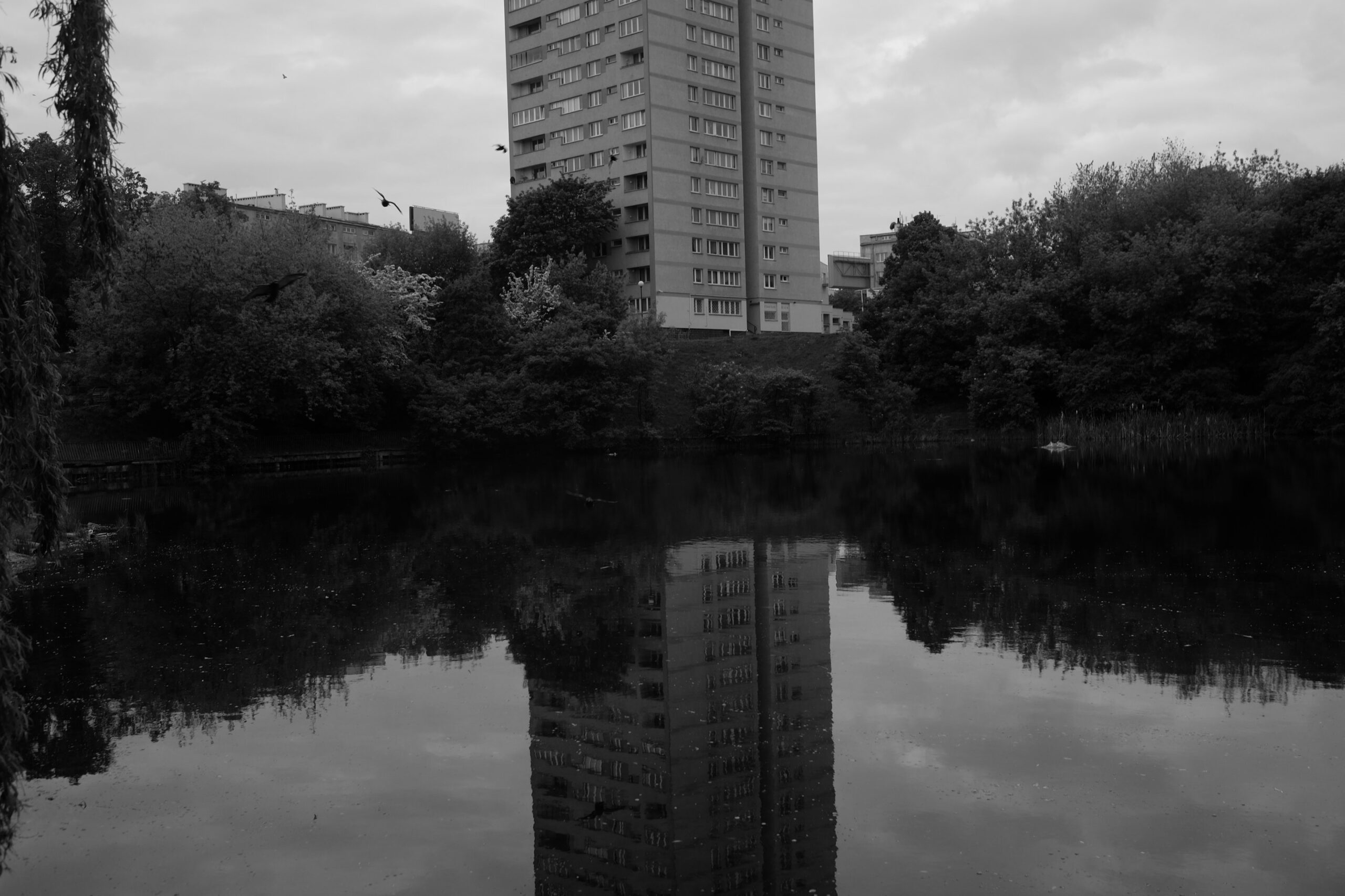 Lost in Grey
